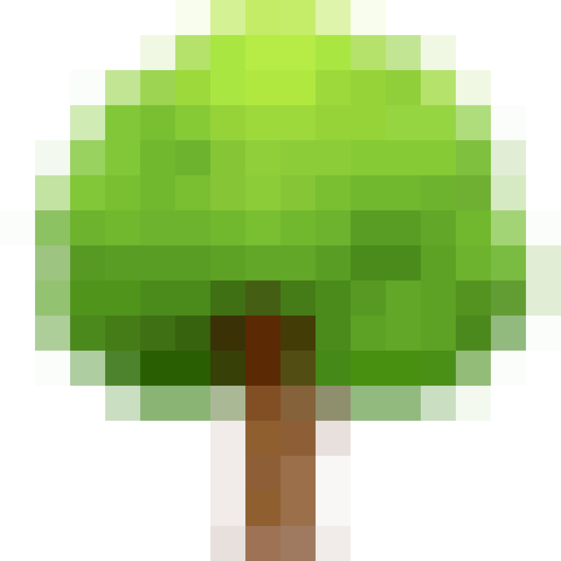 🌳